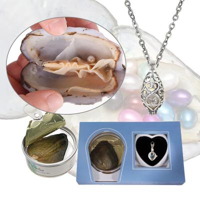 China Wholesale Kit Set Freshwater Pearl Pendant Freshwater Pearl Wish Pearl Necklace in Oyster for sale