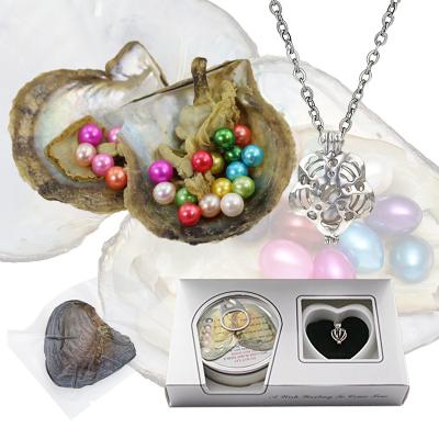 China Pearl Oyster Wish Pearl Boxed By Genuine Freshwater Pearl Freshwater Pearl In Box Freshwater Cultured Love Love Wish Oyster Gift Set for sale