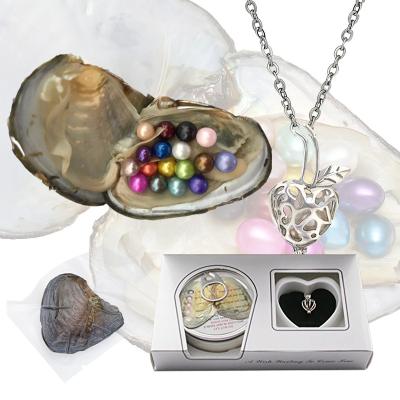 China Wholesale Oyster Freshwater Pearl Oyster Freshwater Pearl Pearl Necklace Pendant Kit Set Gift Set Oyster Boxed Pearls for sale