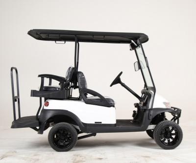 China 48V Electric Golf Cart 2+2 4 Seats with DC Motor and Curtis Controller SRGCB2+2 for sale