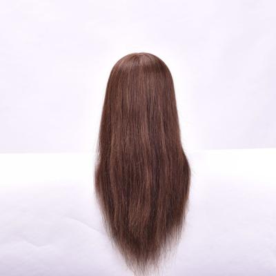 China Factory Outlet 100%Human Silky Straight Wave Hair Training Heads Styling Heads With Reusable Hair Dummy For Afro Hair Mannequin for sale