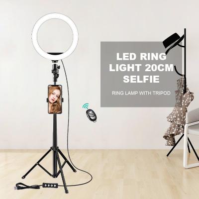 China 10 Inch Mini High Quality Beauty Makeup RGB Color Live Stream Led Selfie Ring Fill Light for sale