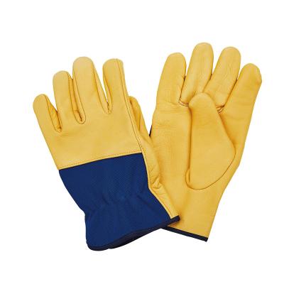 China LC10011 Model Name Cow Grain Leather Working Gloves in Golden Color for Driver for sale