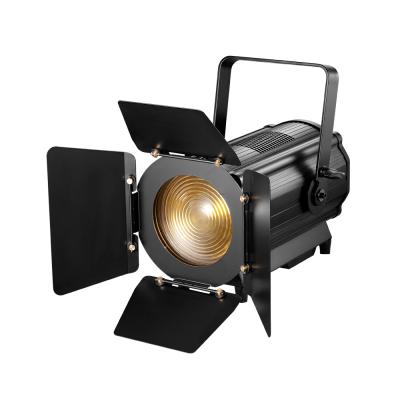 China Studio 600w Warm White White 2 in 1 Fresnel LED Spotlight Profile Light with Auto Focus for sale