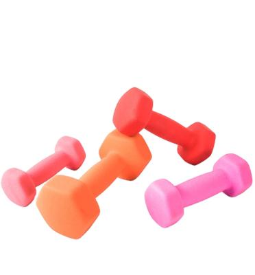 China Commercial Use Ladies and Kids Fitness Dipped Plastic Coated Color Dumbbells Small Kg Fitness Equipment for sale