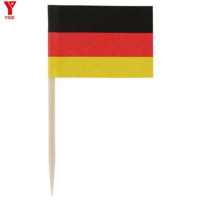 China Health Care Institute High Quality Custom Printing Paper Toothpicks Flag for sale