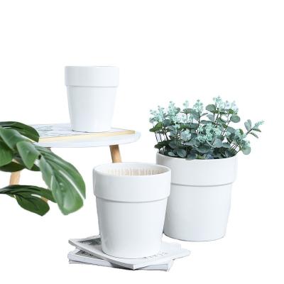 China Modern Professional Manufacturer Indoor Succulent Bonsai Ceramic Flower Pots for sale