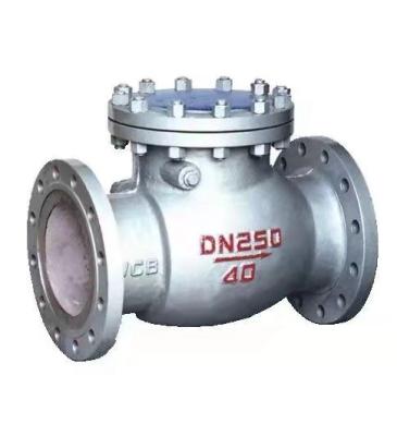 China WCB Wholesale H44w-40c Dn250 Steel Material Water Oil Air Cast Iron Swing Check Valve for sale