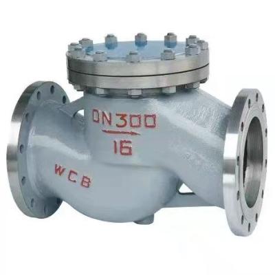 China High Quality Gas Ozone Oil WCB Water Single Door Lift Check Valve Dn300-16c Wcb for sale