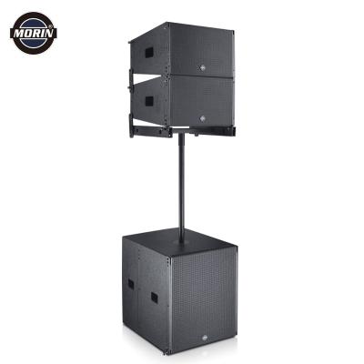 China Active line array speaker with (line array box) and (Subwoofer, built in DSP) TW-10 for sale