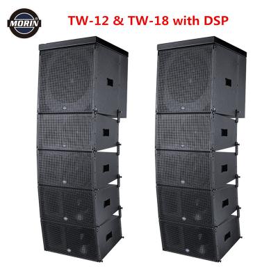 China ACTIVE professional sound line array speaker with amplifier borad TW-12 for sale