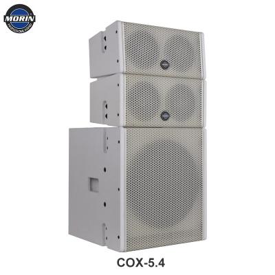 China Passive Line Array 5inch Two Ways Passive Sound Speaker System for sale