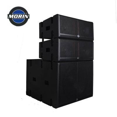 China Passive Dual Speaker Passive Line 8 Inch Array Speaker System for sale