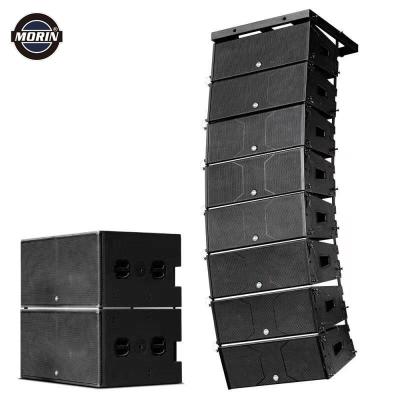 China Double 10inch passive professional audio video passive line array for outdoor exposure LS-210B for sale