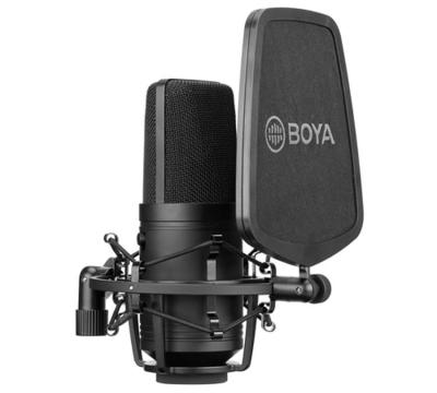 China Cardioid Condenser MIC Big Shock Mount BOYA BY-M800 Microphone Professional Cut-Off Filter For Studio Live Broadcast Vlog Video Recording for sale