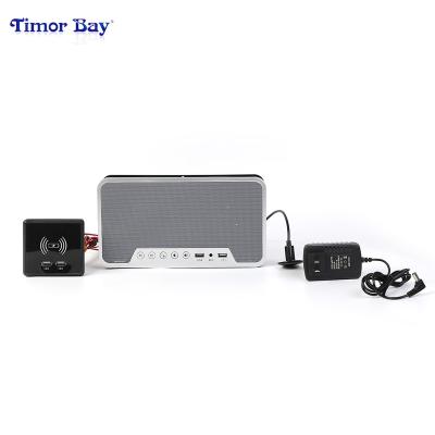 China Wholesale Wireless Professional ABS Equipment BT Audio Wireless Charging Speaker for sale