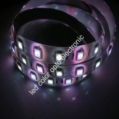 China tira llevada RGB 5050smd en venta