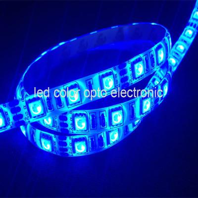 China tira llevada flexible los 60led/m del rgb de 5050 smd en venta