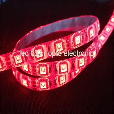 China el smd 5050 llevó la tira de color rojo en venta