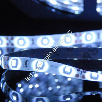 China 30/60/120 llevó la tira del color LED de 5050 blancos en venta