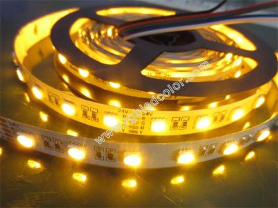 China tira llevada 4in1 30/60/72/84/96/120 LED de rgbw/y por m en venta