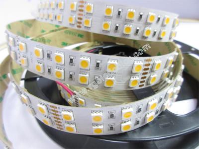 China tira llevada color blanco caliente 5050 del 120led/m en venta