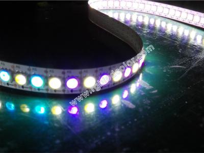 China apa102 digital rgb+w full color led tape for sale