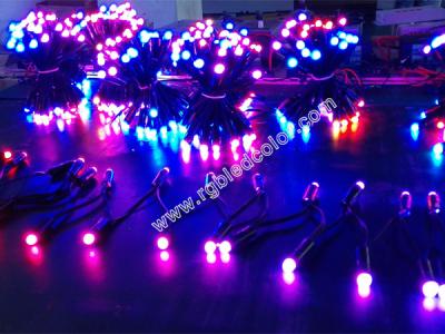 China f8 dip led black cover rgb pixel light for sale