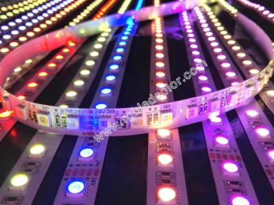 China dc24V 96led rgbw 4in1 led strip for sale