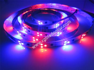 China 12v 60led ws2811 led pixel strip for sale