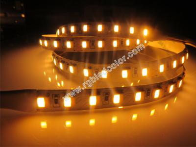 China dc24v 120led 5050wwa 3in1 led dimmer strip light for sale