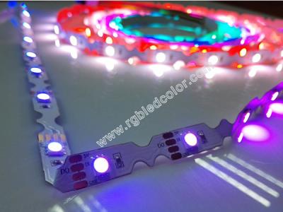 China addressable s type led strip for sale