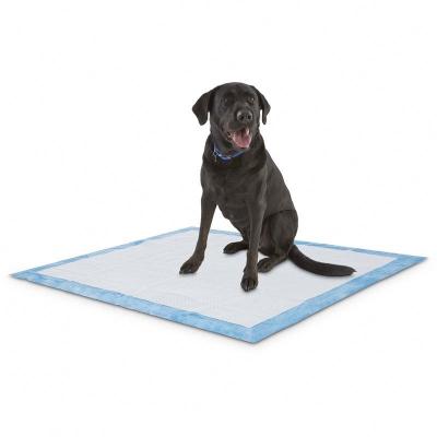 China OEM Wholesale Direct Wholesale Super Thin Absorbent Puppy Pee Training Disposable Pet Pad for sale