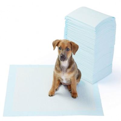 China Legend Wholesalers Disposable Puppy Pet Training Dog Stocked Absorbent Pee Pad for sale