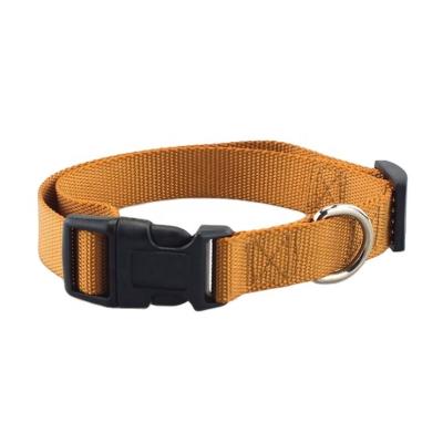 China Manufacturer Stocked Small Medium Large Dogs Pet Recovery Collar Pet Collars and Leashes for sale