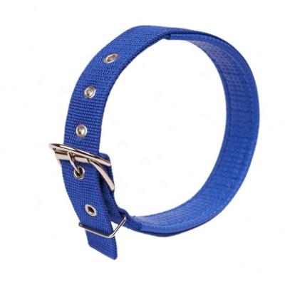 China Pet Supplies Dog Designer Dog Collar Metal Pet Stocked Collars for sale