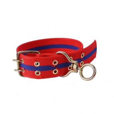 China Stocked Pet Collar Pet Training Collar Material Pet Training Collars for sale