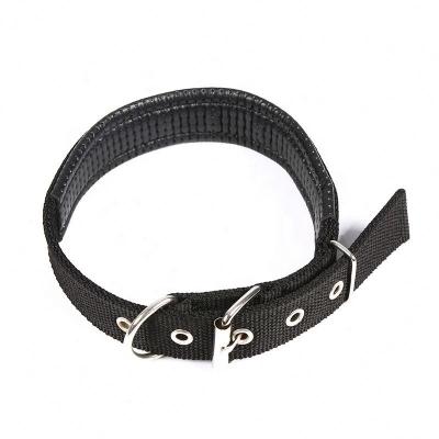 China Pet Recovery Collar Stocked Led Collars And Leashes for sale