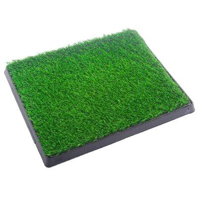 China Viable Customizable Large Size Puppy Cats Dog Pet Potty Training Pee Pad Indoor Grass House Toilet Tray for sale