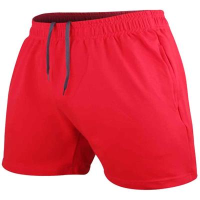 China Shinesia Men's Shorts Anti-Wrinkle Plus Size 3 Inch Knitted With Pocket Elastic Waist Sports Casual Gym Custom Shorts for sale