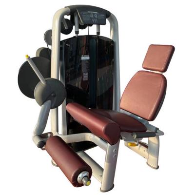 China Steel Tube Gym Equipment Commercial Seated Leg Extension Machine Strength Training for sale