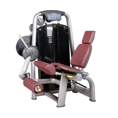 China 2021Seated Universal Leg Extender Commercial Gym Equipment for sale