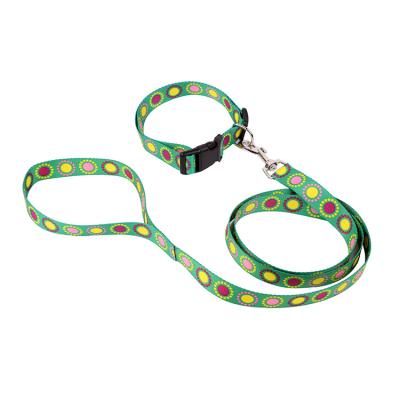 China Best Viable Wholesale Nylon Printing No Pull Dog Leash And Collar for sale