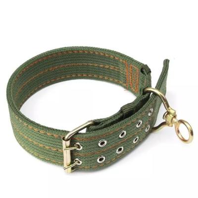 China Durable Sturdy Canvas Pit Bull Dark Green Dog Collars For Large Dogs for sale