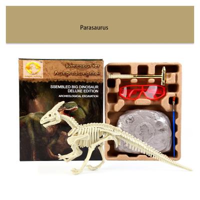 China Animal Skeleton Model Decoration Tyrannosaurus Toy For Boy Educational Game Simulation Dinosaur Toy History Learn Archeological Fossil Excavation for sale