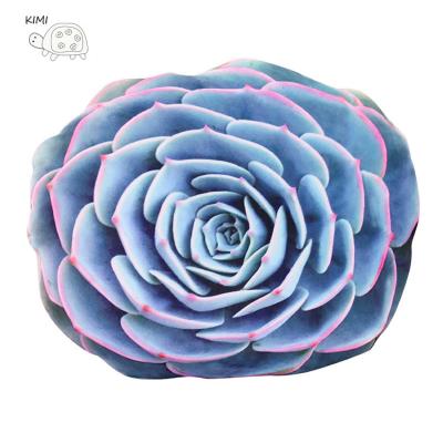 China Custom Wearable Plush OEM/ODM 3D Succulent Plants Pretend Simulation Plants Stuffed Plush Cushion Pillow for sale