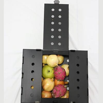 China Recyclable Pear Pitaya Pomegranate Fruits Package Shipping Boxes With Holes Waterproof Foldable for sale