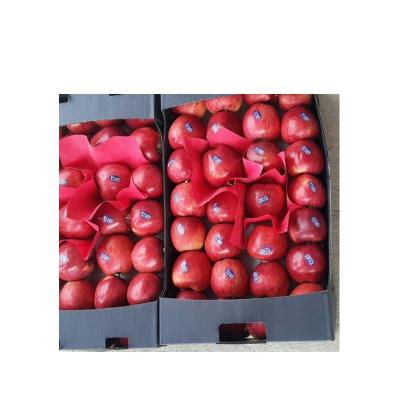 China Recyclable Plastic Apple Fruit Packaging Boxes Corrugated Folding Box Fruits for sale