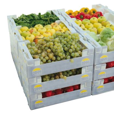 China Freshness Preservation Plastic Fruit Box For Vegetables And Fruits for sale