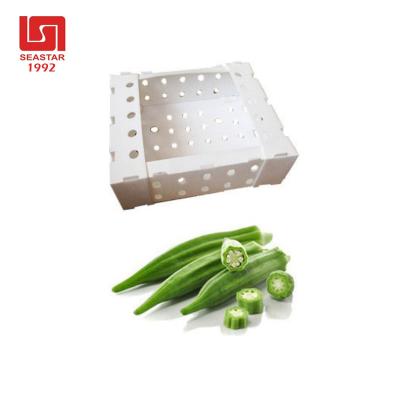 China Recycled Vegetable Materials PP Box Design For Okra Packaging Custom Bulk Quantity for sale